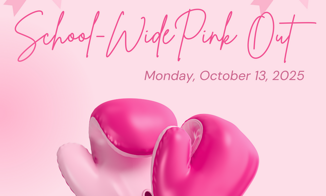 Programming Board PINK OUT